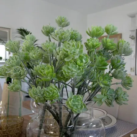 Premium, 2-bedroom Apartment! アパート ハニア