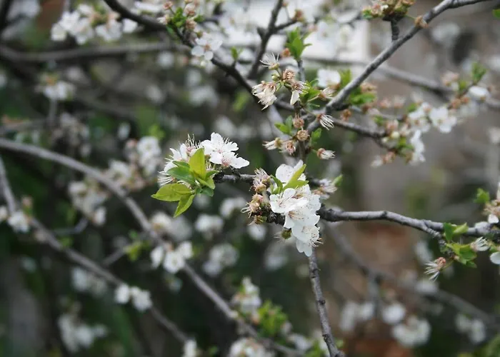 Premium, 2-bedroom Apartment! * Chania (Crete)